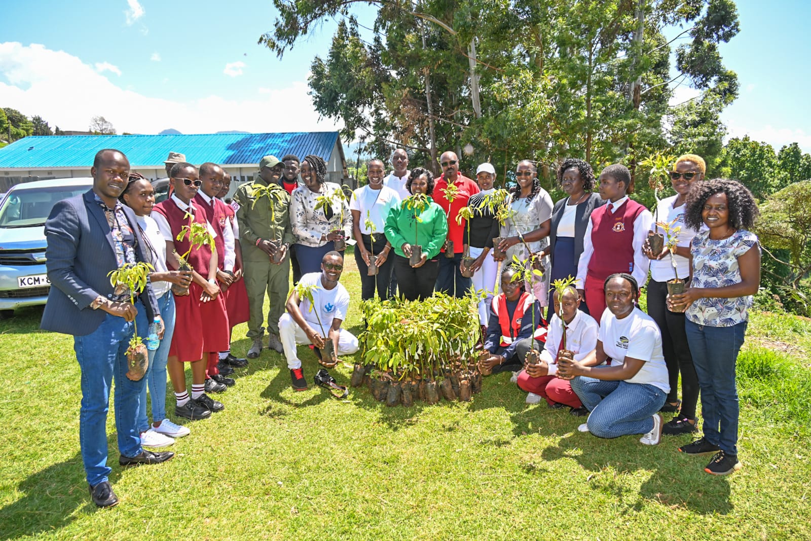 Ecosystem Restoration